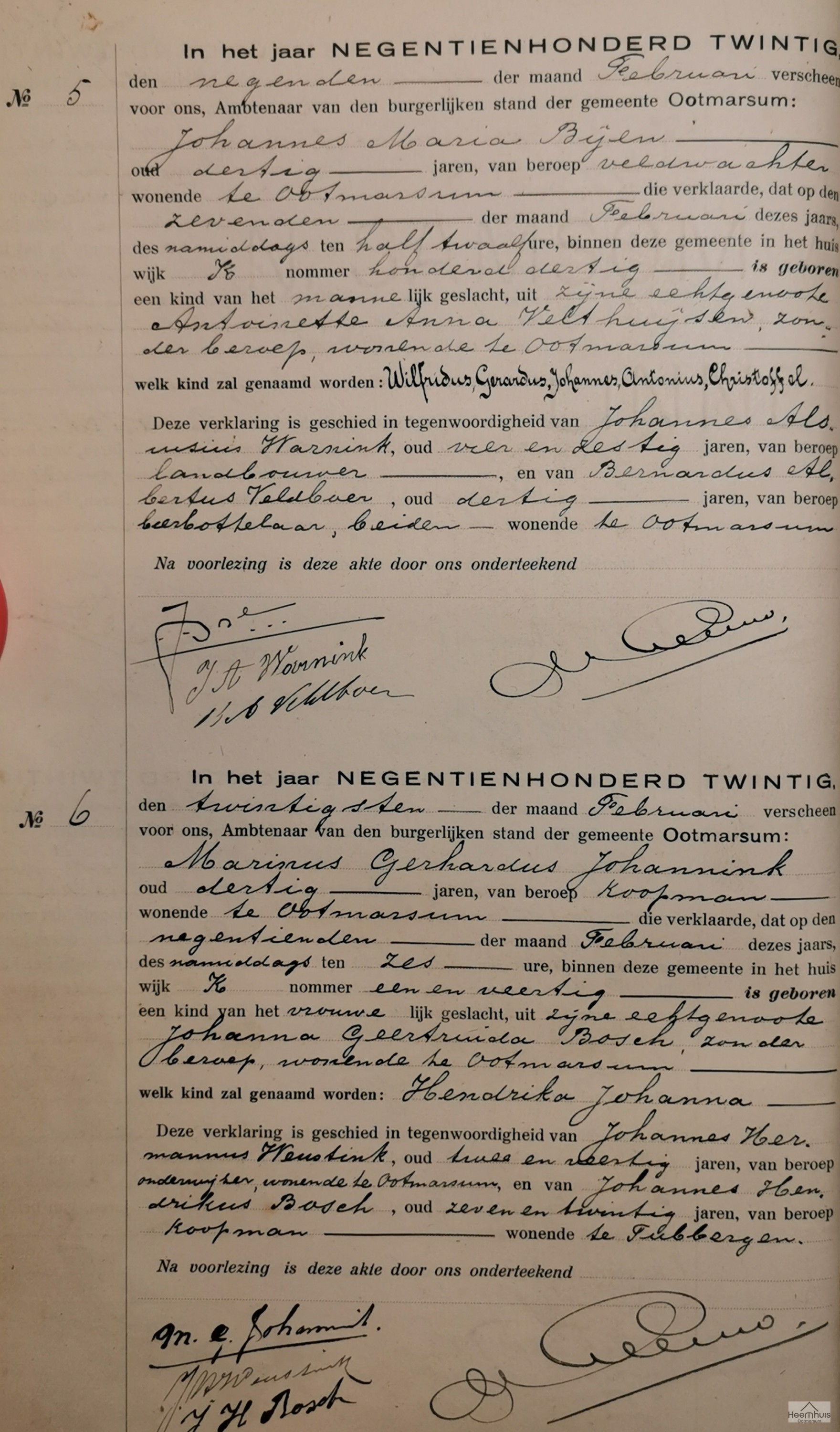Geboorteakte van Hendrika Johanna Johannink